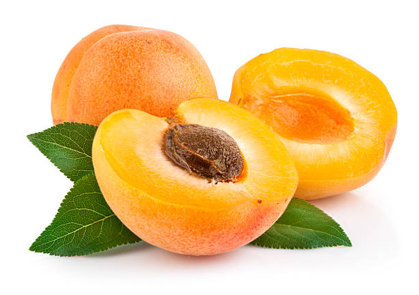 Apricot Oil