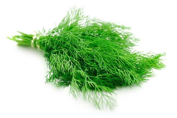 Dill Oil