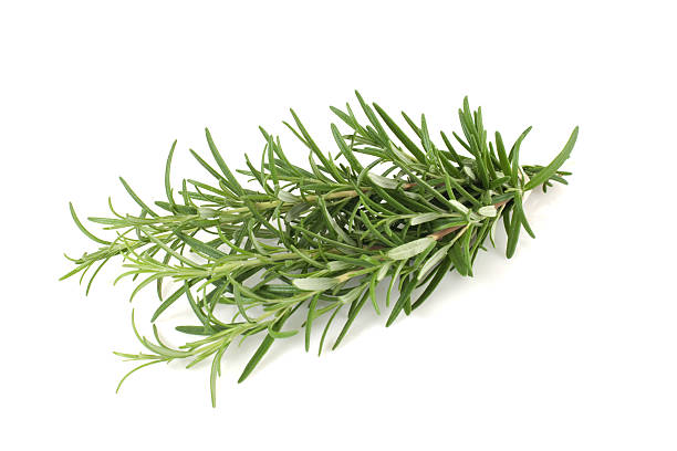 Rosemary Oil