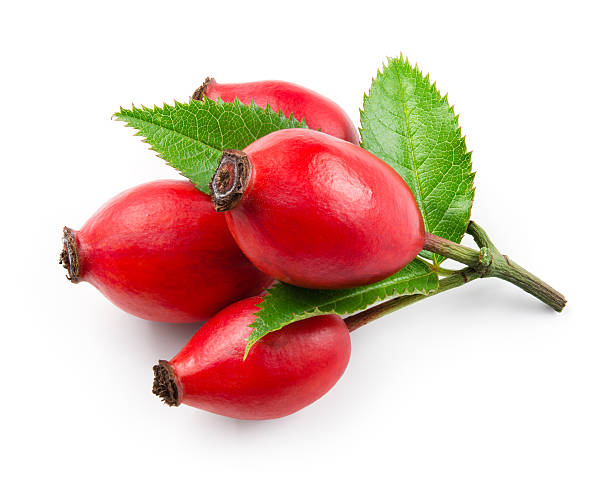 Rosehip Oil