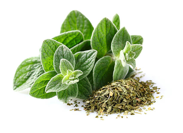 Oregano Oil
