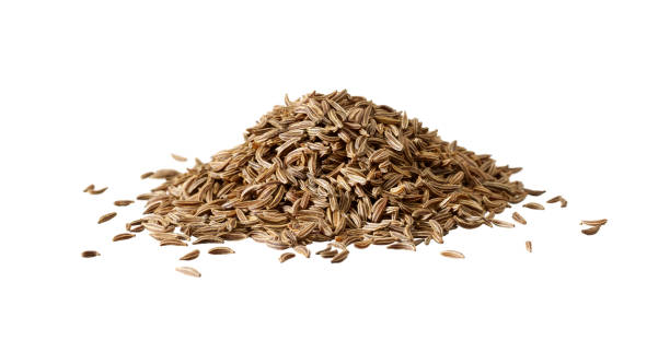 Caraway Oil