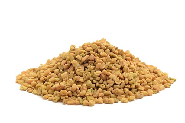 Fenugreek Oil